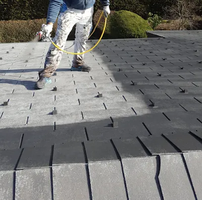 Image de Bati Renovation - Entretien et Rénovation Vaud / Façades / Peinture / Toitures / Intérieur - Démoussage - Nettoyage