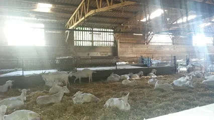 Image de Iso'Etanche