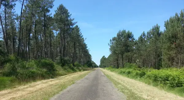 Prix Isolation Extérieure Prix isolation extérieure Maillas