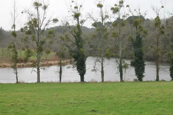 Prix Isolation Extérieure Prix isolation extérieure Muzillac