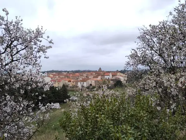 Prix Isolation Extérieure Prix isolation extérieure Trouillas